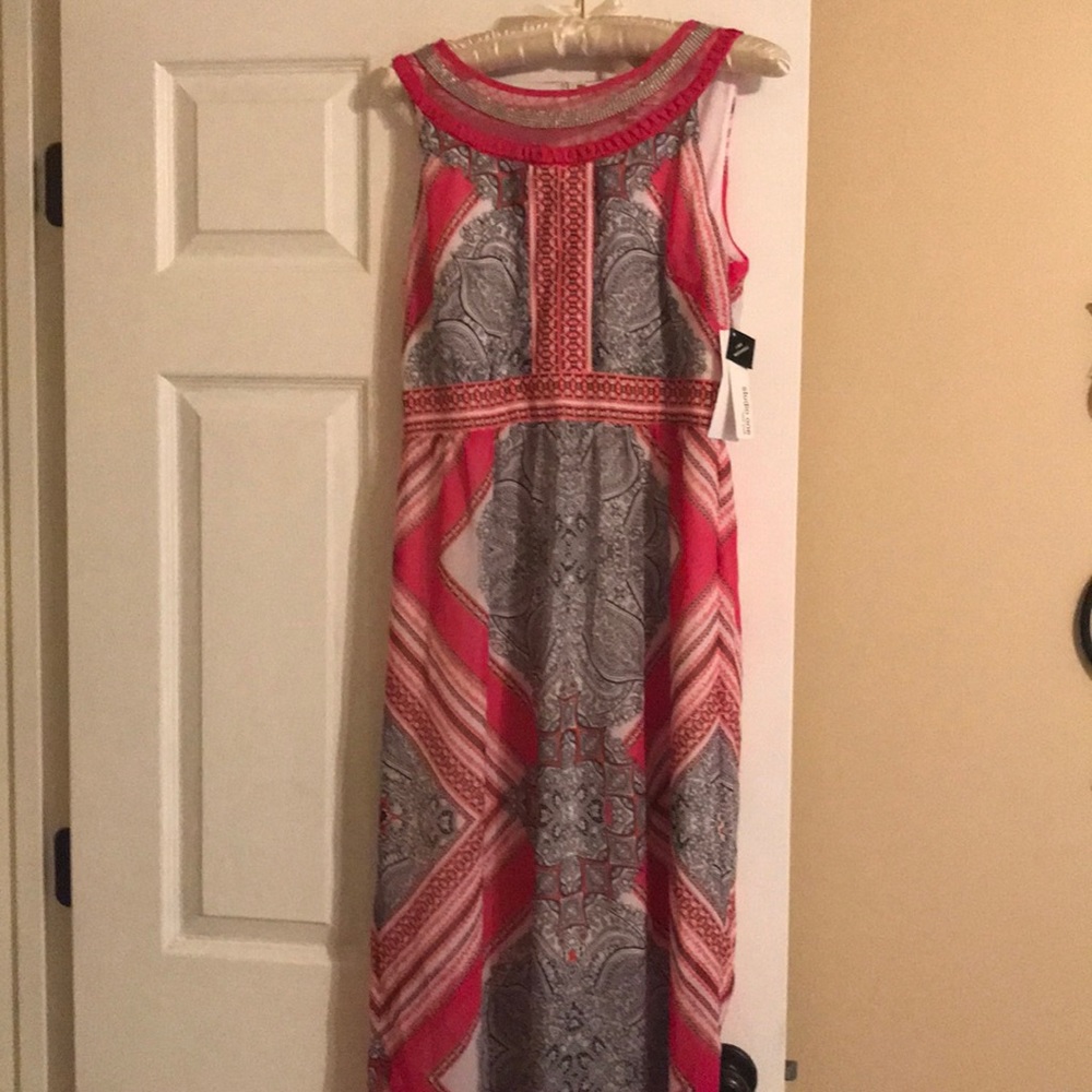 NWT Women’s 6 Studio One Pink Lined Maxi Dress